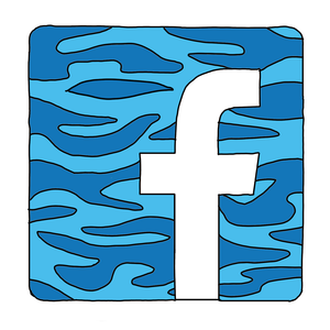 Facebook: Politique d’utilisation des données